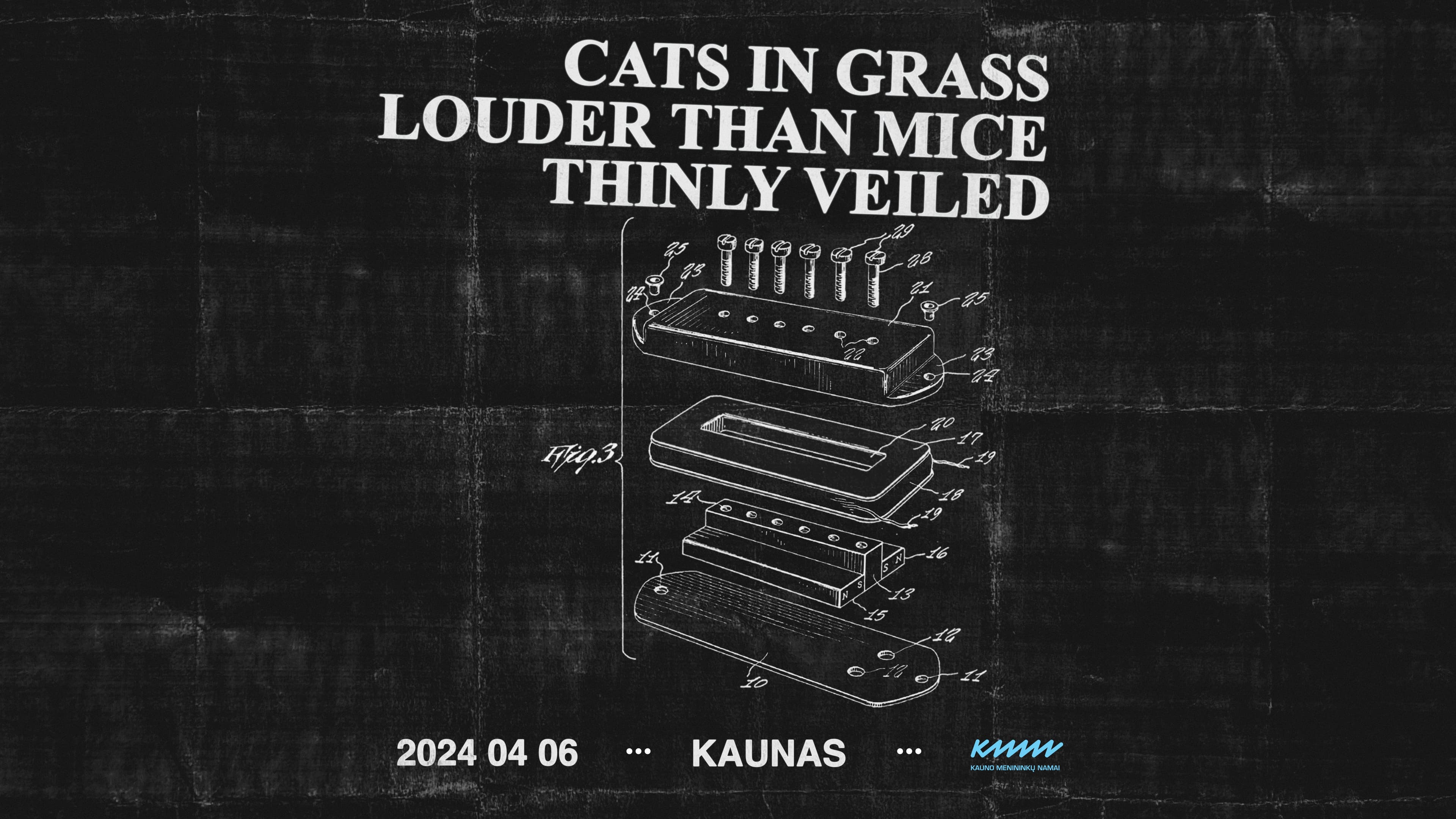 Cats In Grass x Louder Than Mice x Thinly Veiled | Concert