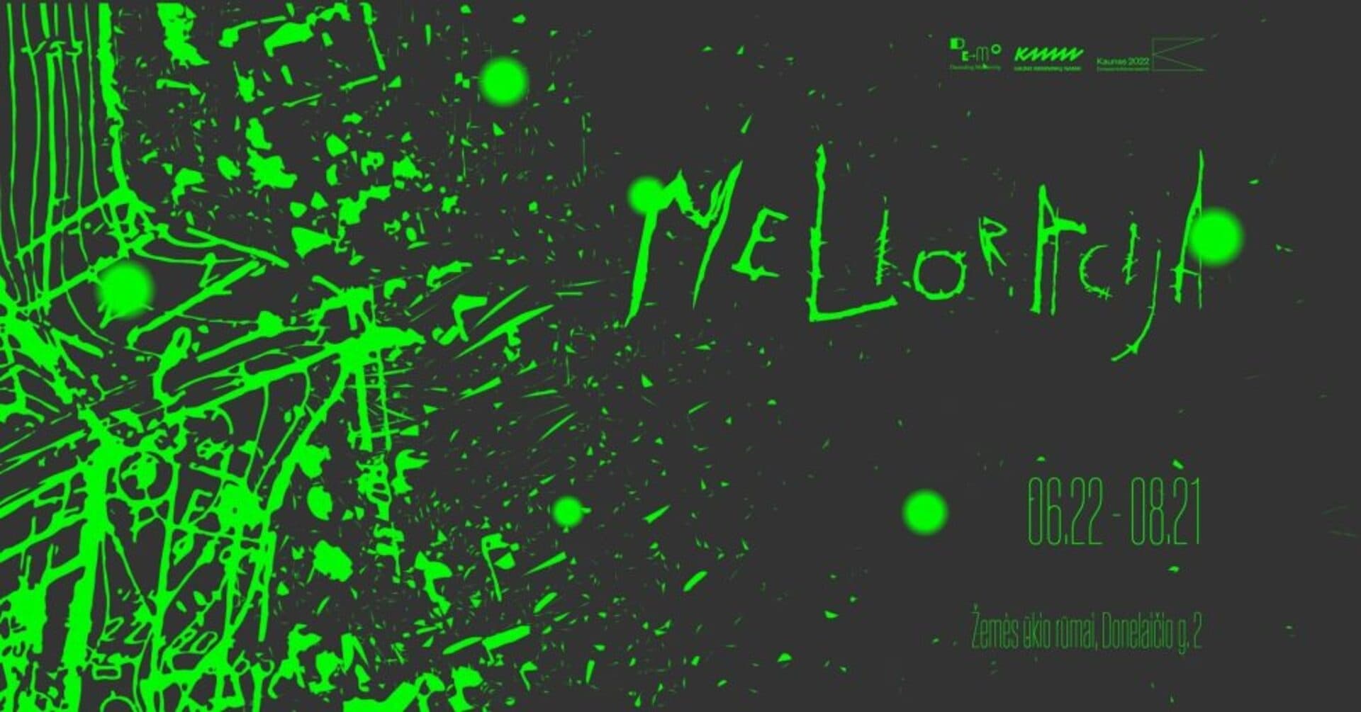 DeMo | Exhibition "Melioration" Opening 