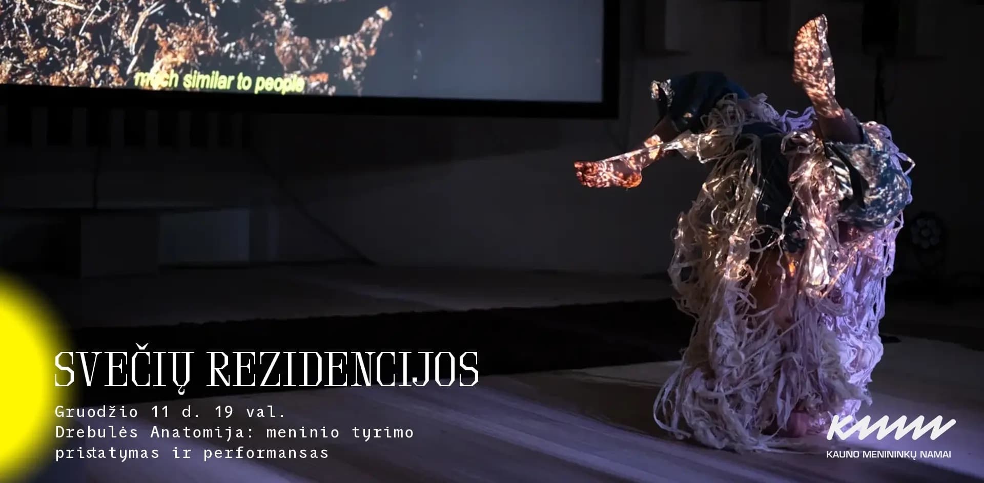 Guest residencies | Anatomy of an Aspen: presentation of artistic research and performance